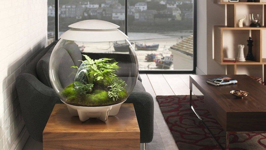 Акваскейп в бокале