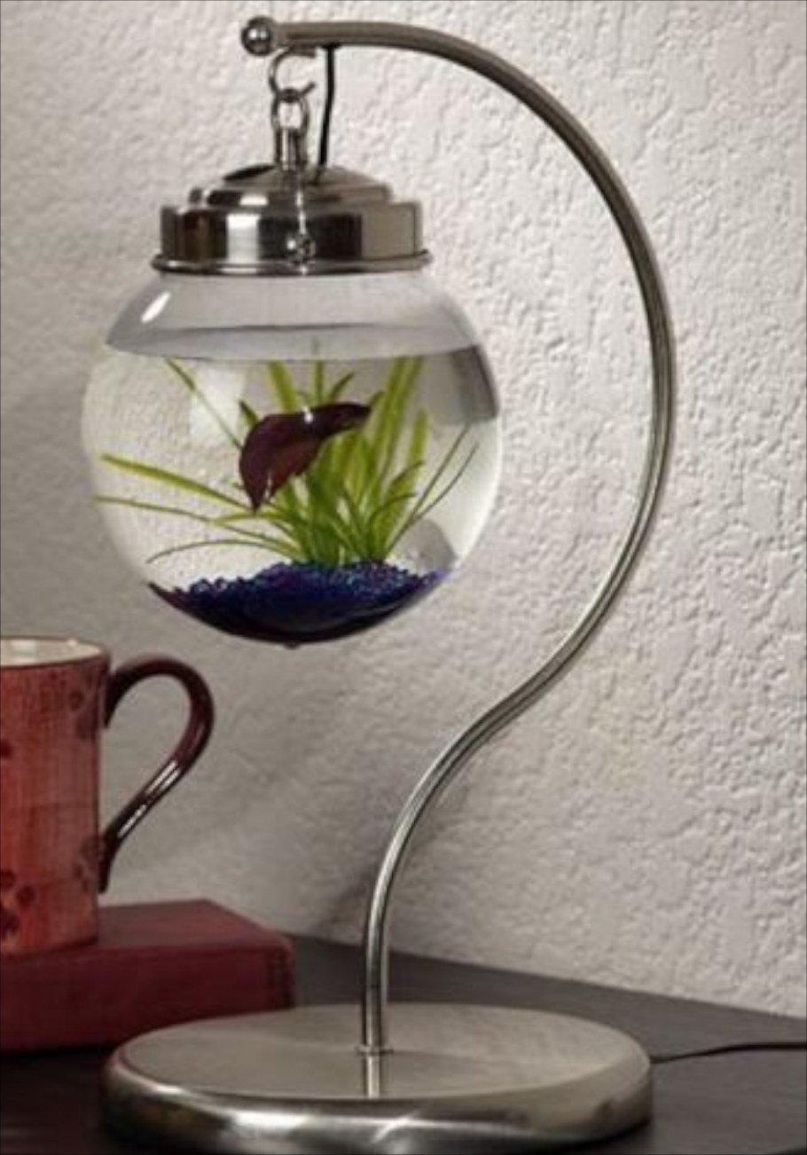 Современный аквариум