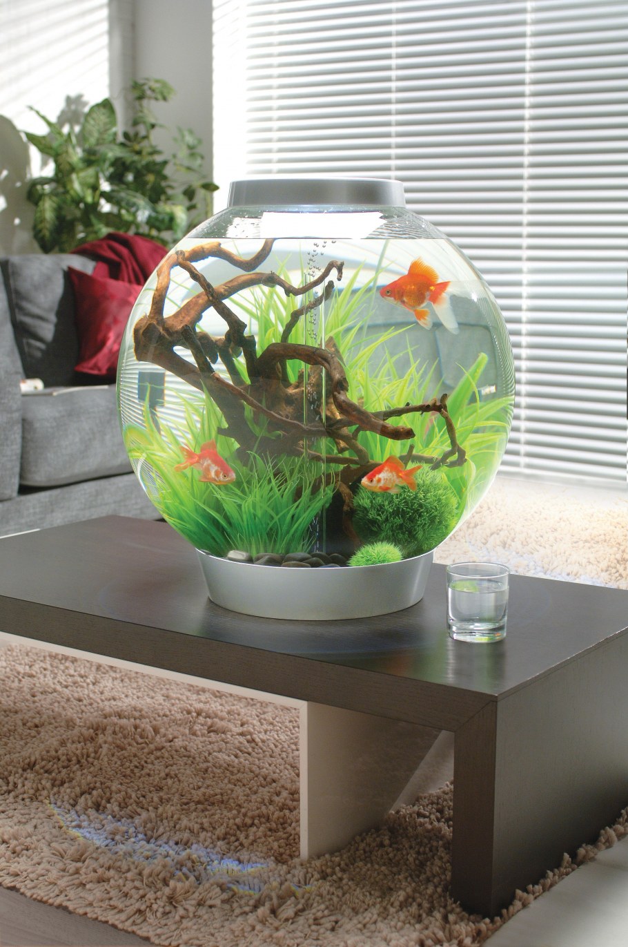 Аквариум BIORB Classic