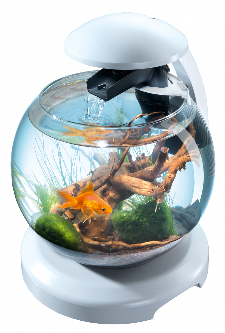 Круглая ваза аквариум