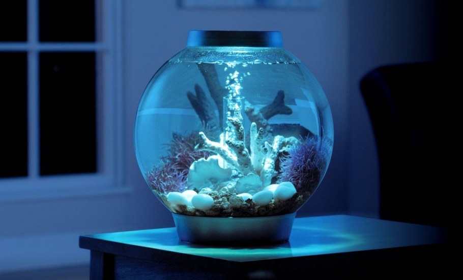 Аквариум BIORB В интерьере