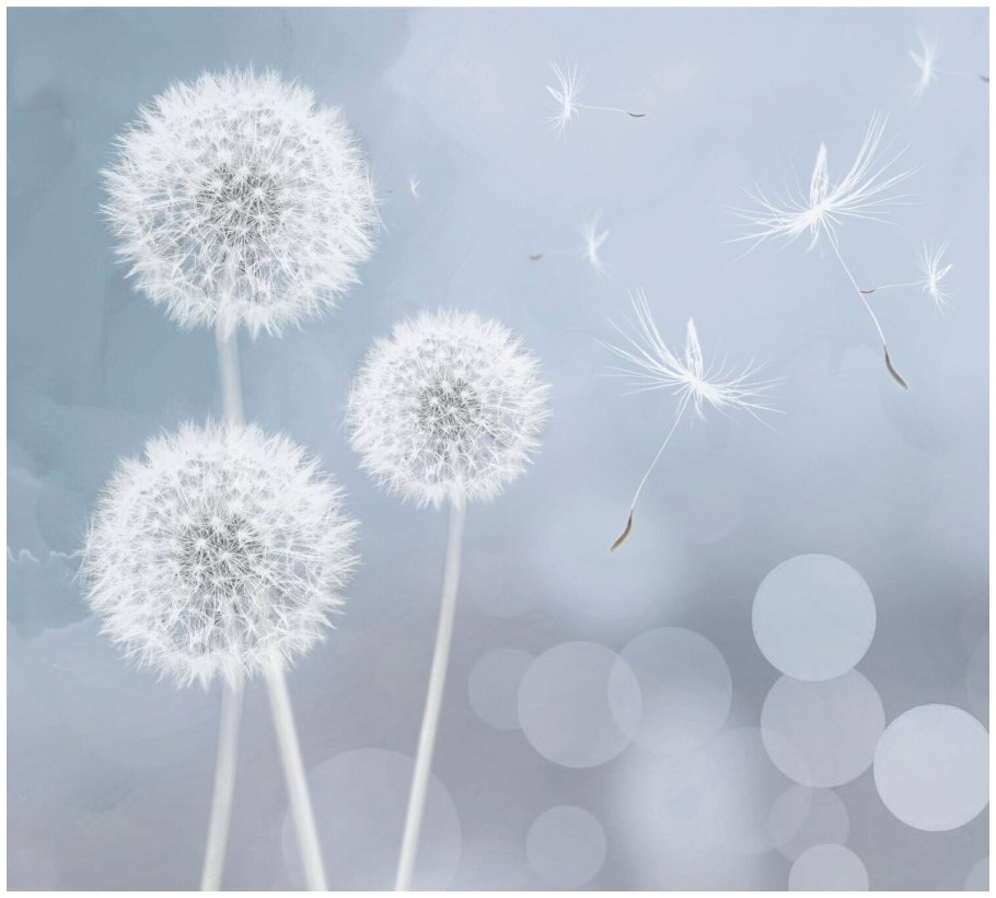 Фреска одуванчики