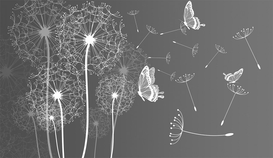 Фотообои одуванчики и стена