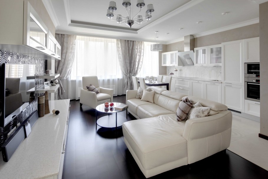 Кухня совмещенная с прихожей