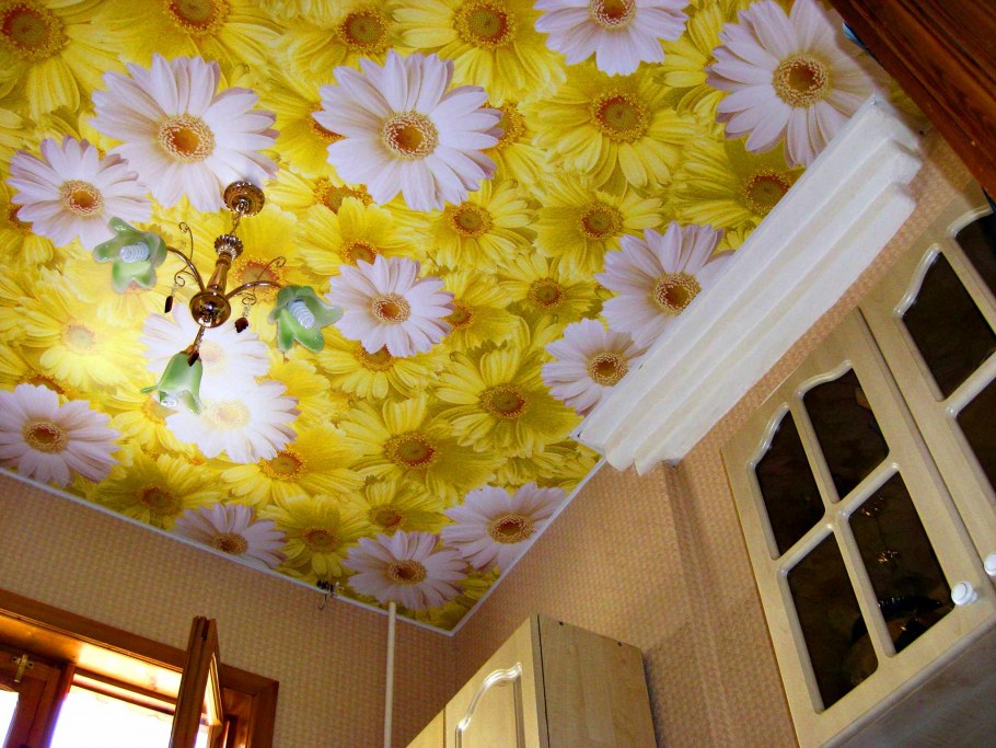 Натяжные потолки с фотопечатью