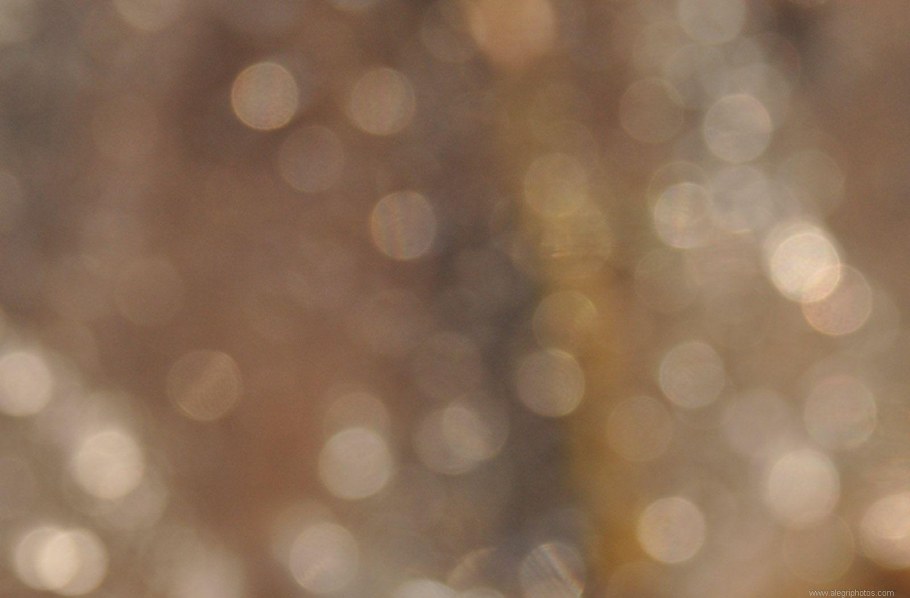 Фон боке