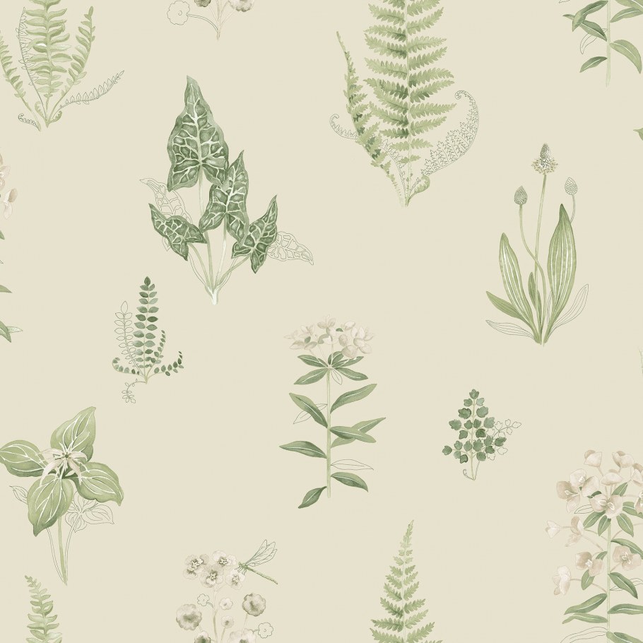 Aura Paradise pa34255