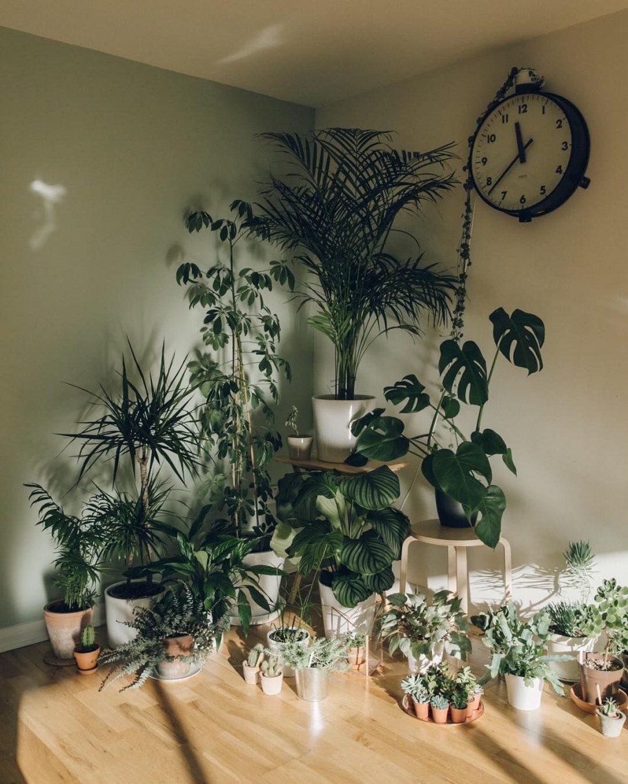 Как расставить цветы оригинально