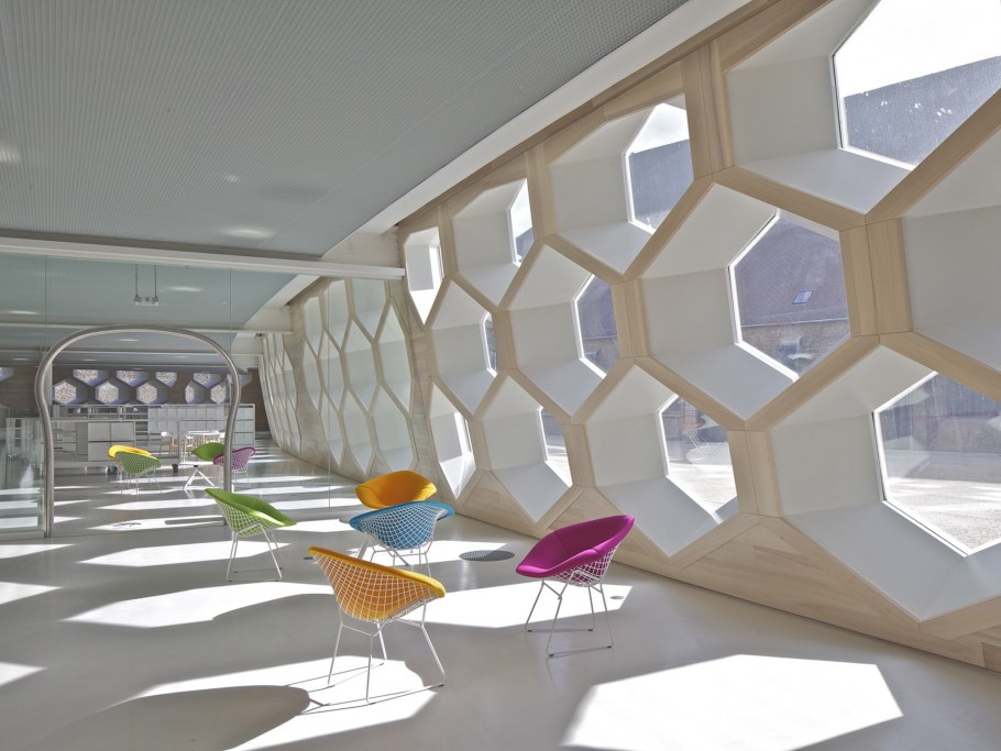 Пчелиные соты Бионика