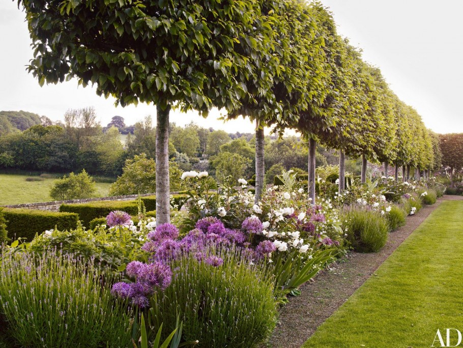 Аллея гортензий