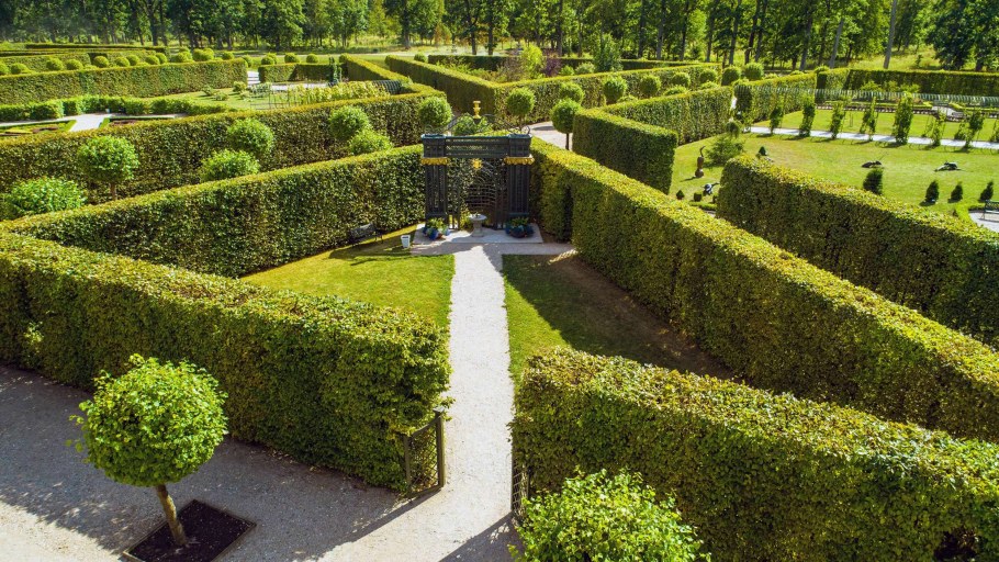Боскет в садово Парковом искусстве