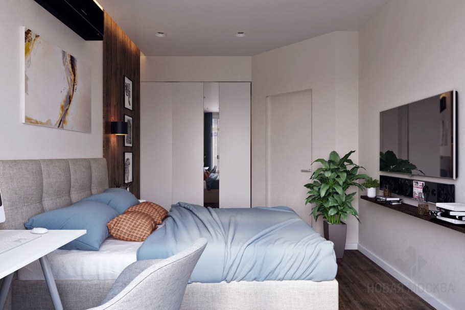 Дизайн однокомнатной квартиры пик