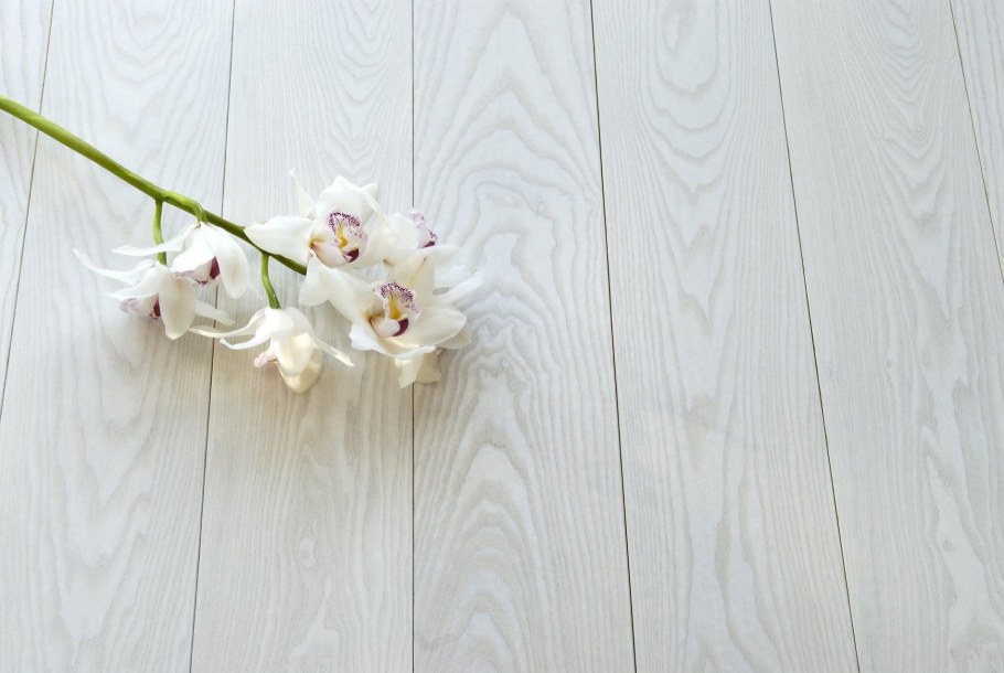 Фотофон белый с мебелью