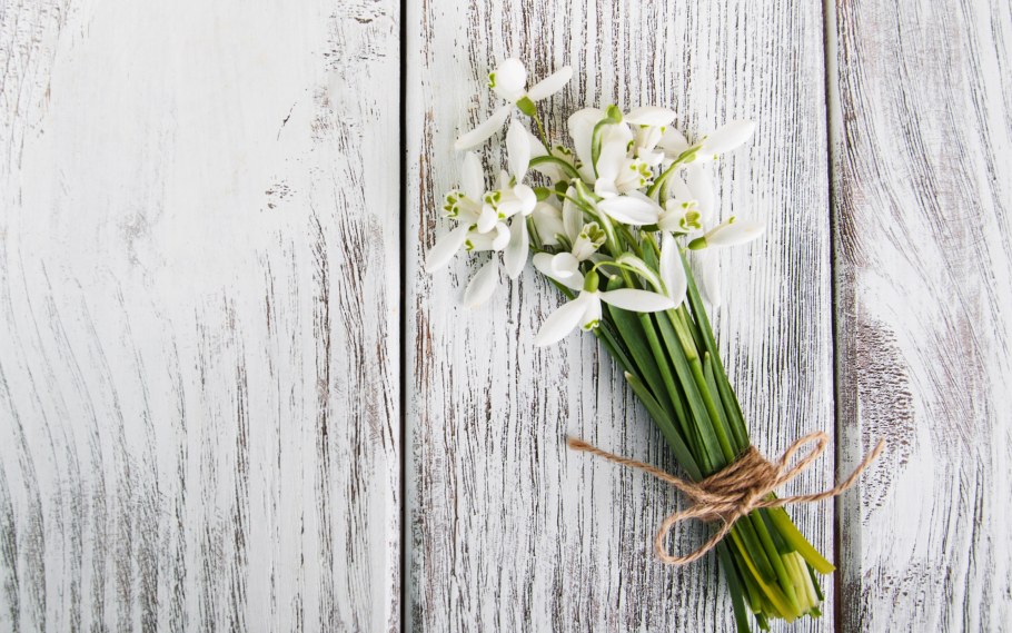 Подснежники на деревянном фоне
