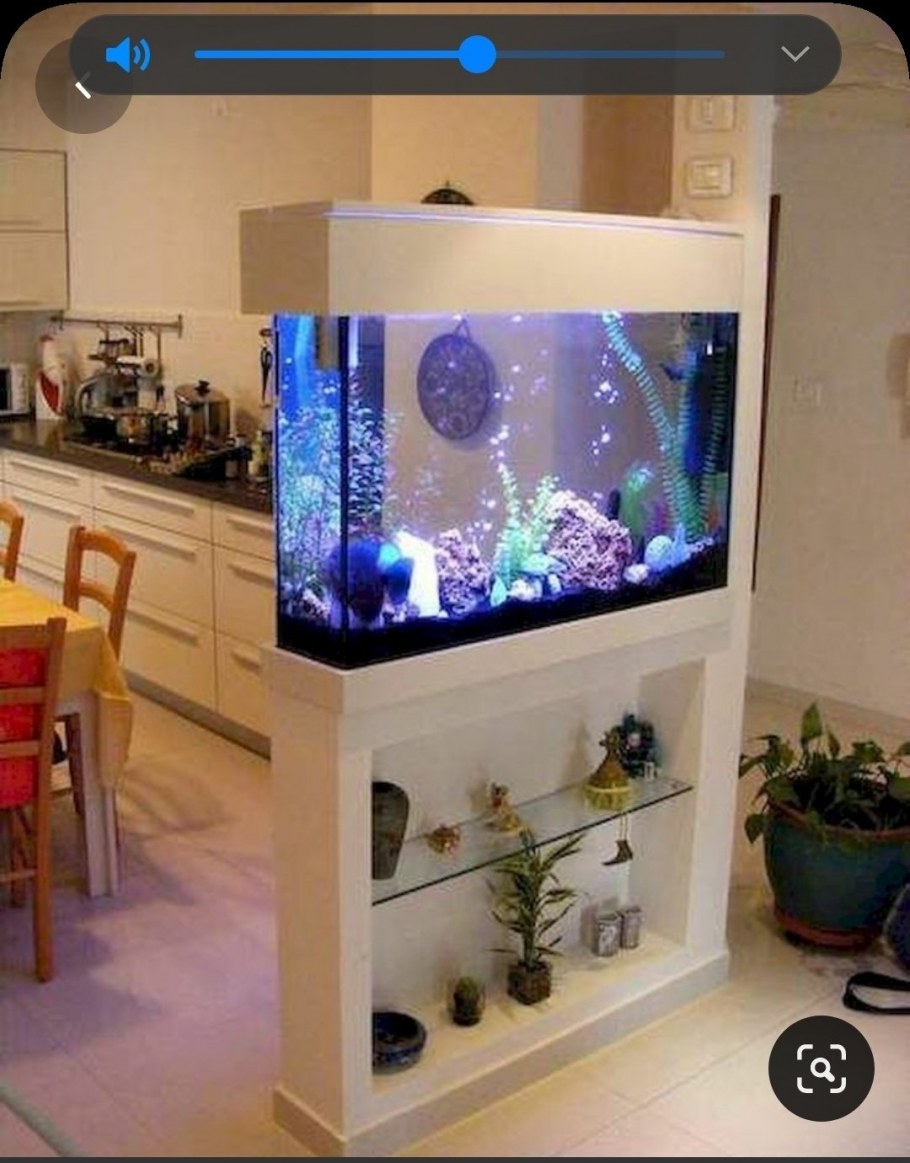 Необычные аквариумы в интерьере