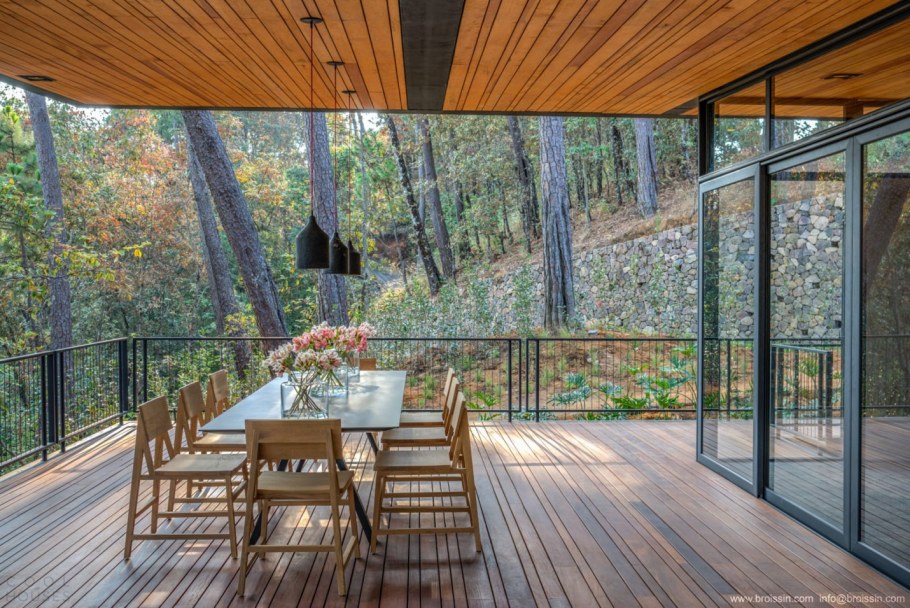 Терраса с видом на лес