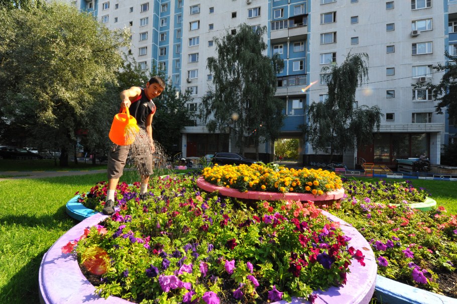 Цветники во дворе многоквартирных домов