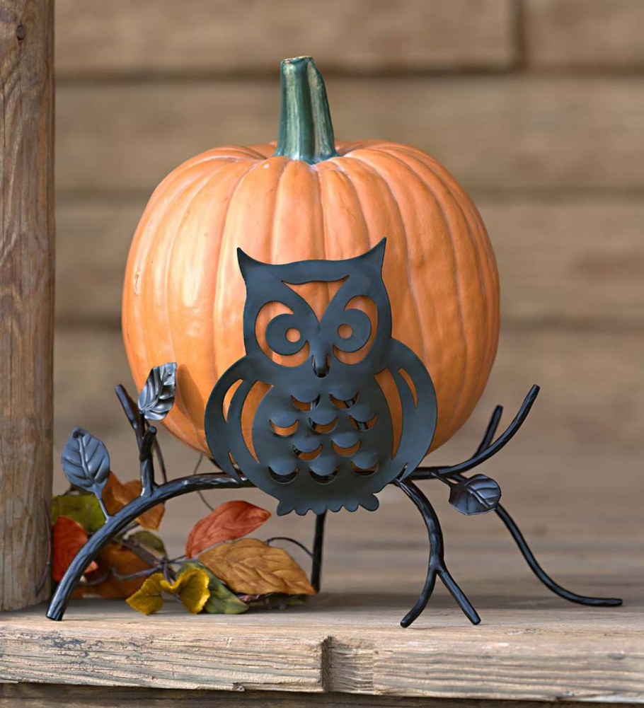 Осенние композиции в интерьере