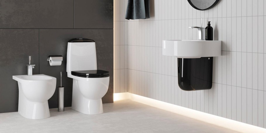 Sanita Luxe best Color Black DM