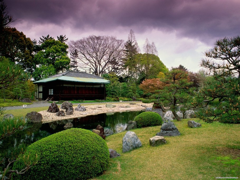 Сад дракона Евгения Сапунова