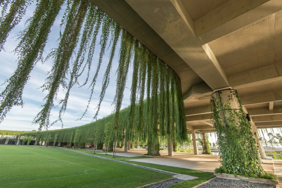 Современная Ландшафтная архитектура пальмы