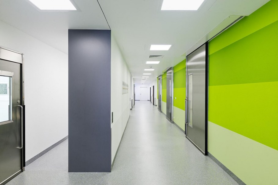 Стены в коридоре офиса
