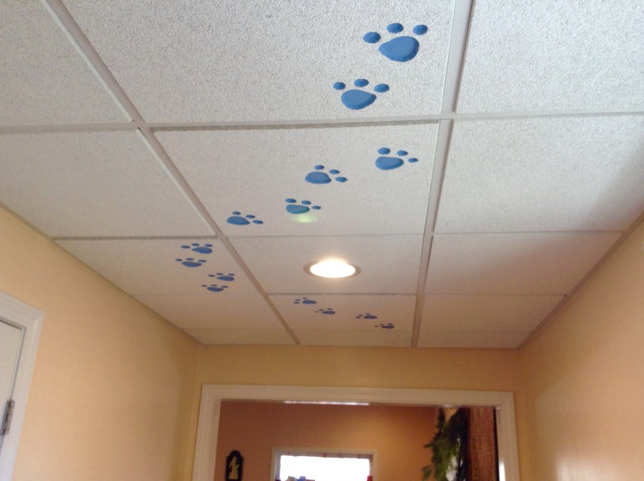 Оригинальная поклейка потолочной плитки