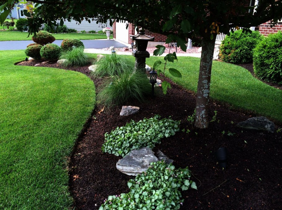 Дорожка вокруг дерева в саду