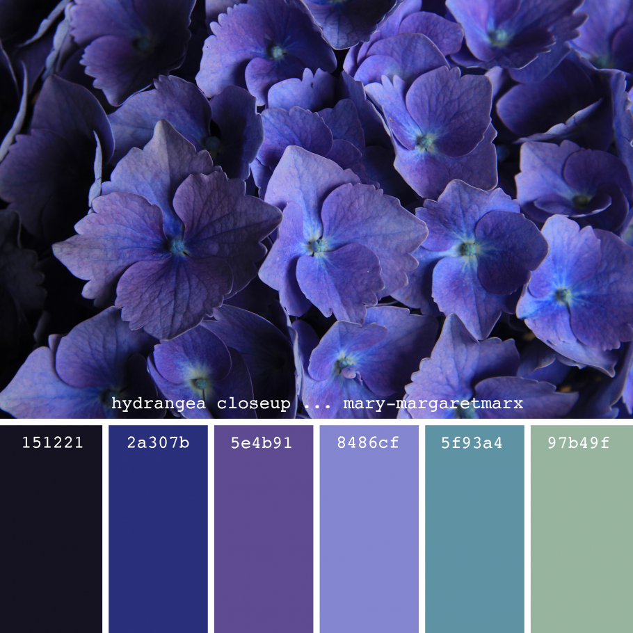 Сине фиолетовая палитра