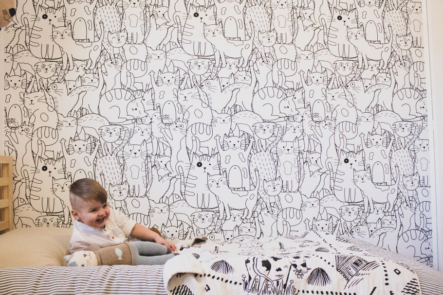 Обои с котиками на стену