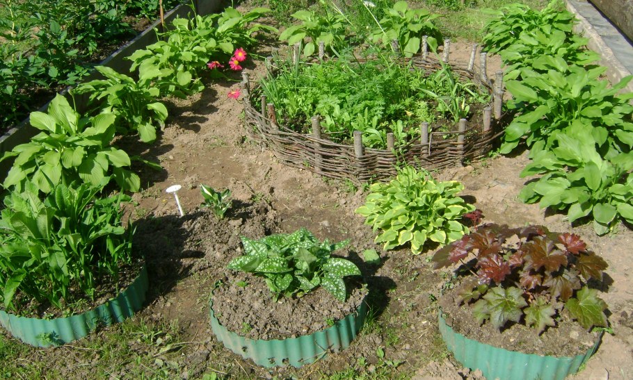 Радиусные грядки