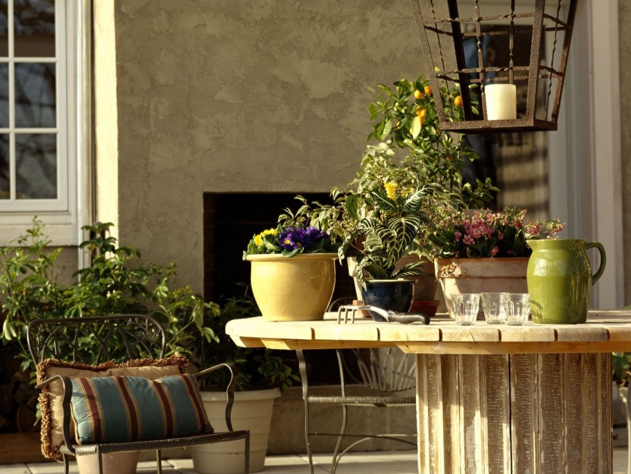 Цветы в интерьере