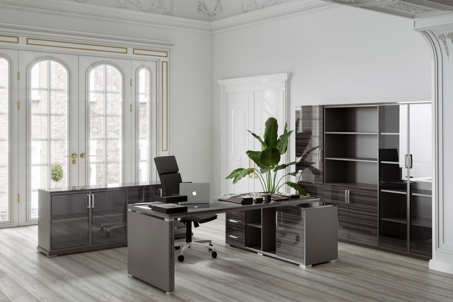 Кабинет руководителя Венеция Дефо