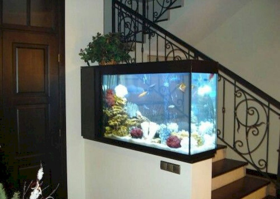 Аквариум в маленькой квартире