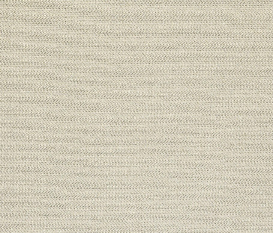 Задний фон однотонный бежевый