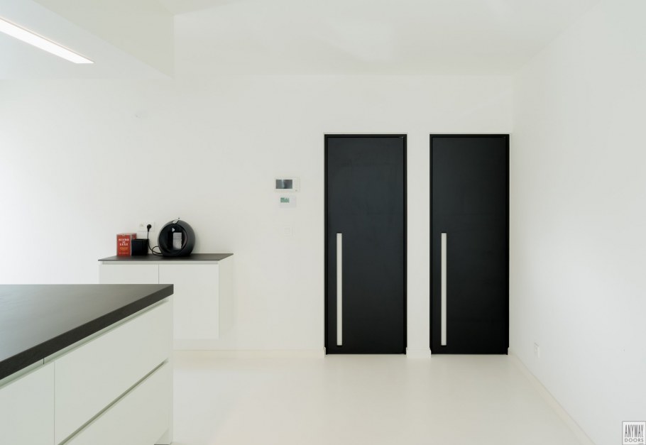 Стронг 100 дверь