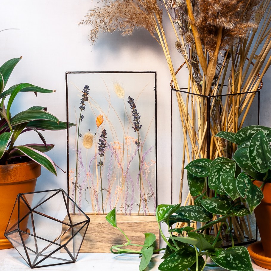 Фитодизайн спальни