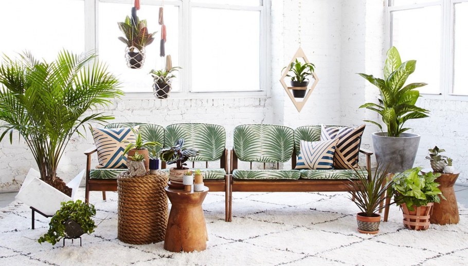 Фитодизайн офис Минимализм