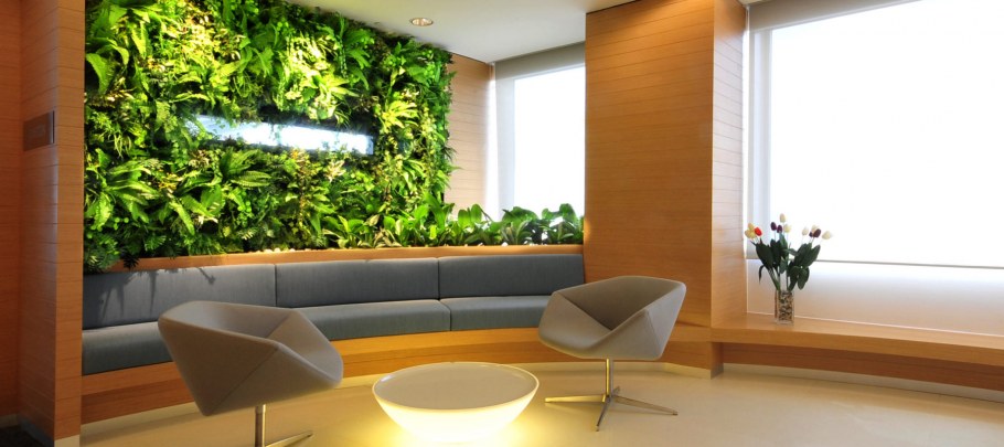 Фитодизайн в современных условиям