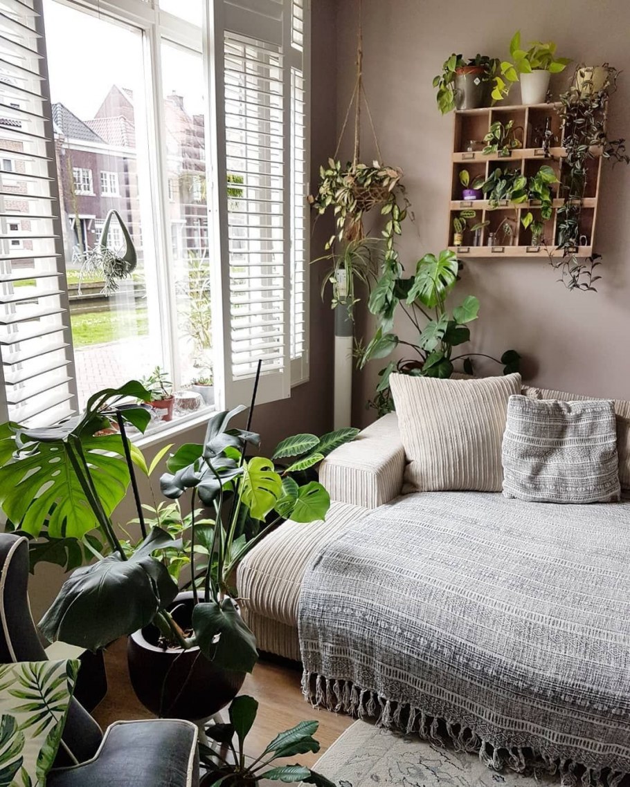 Спальная комната с растениями