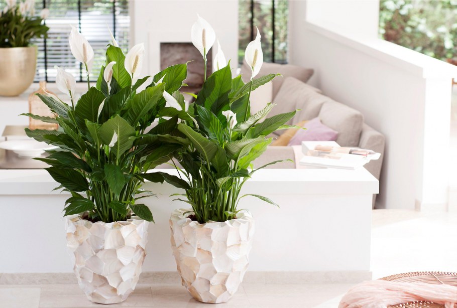 Спальня в скандинавском стиле с растениями