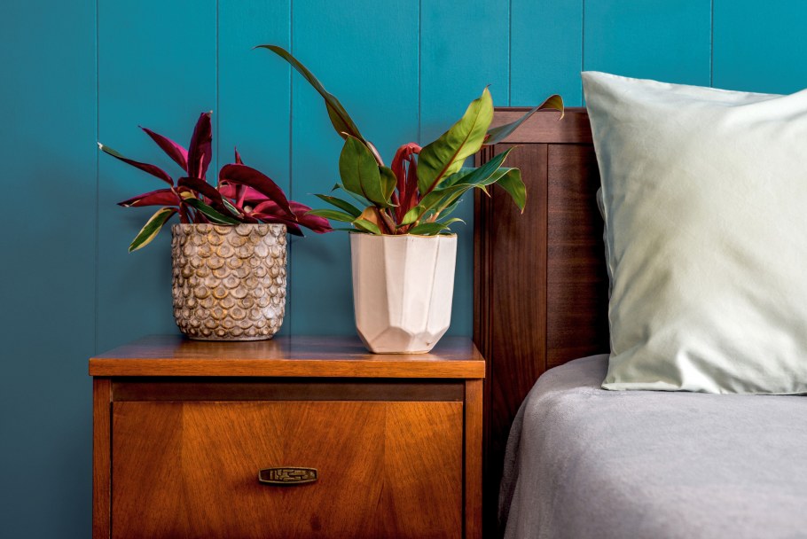 Комнатные растения в интерьере спальни