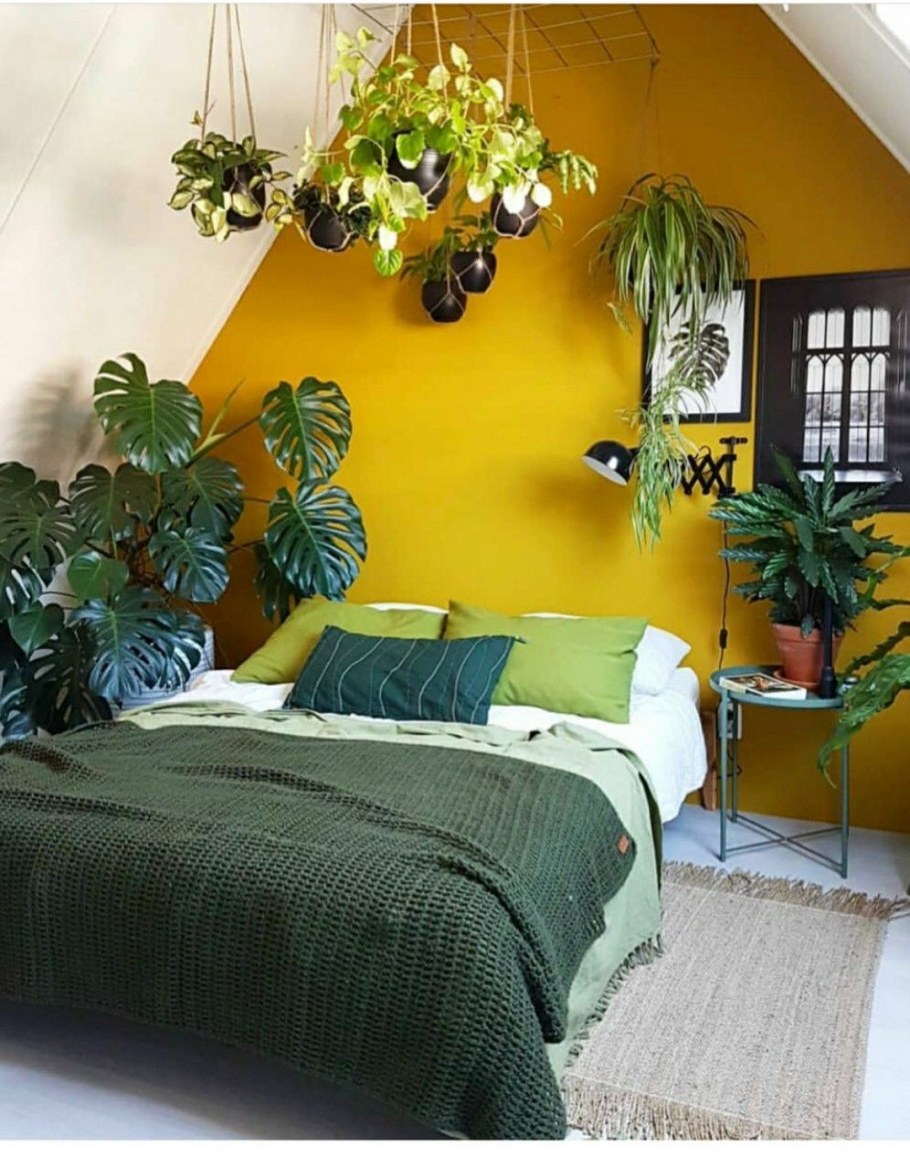 Цветы в интерьере