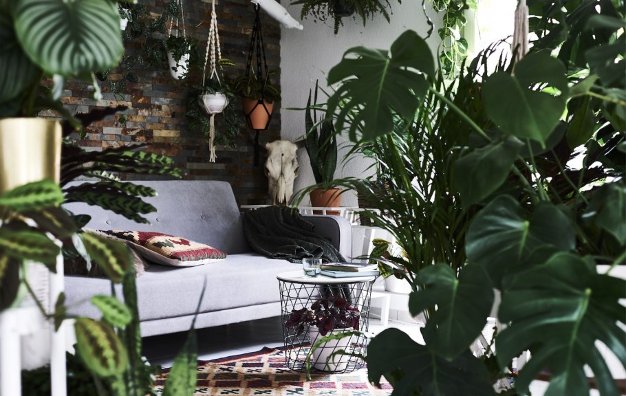 Спальня с пальмовыми листьями