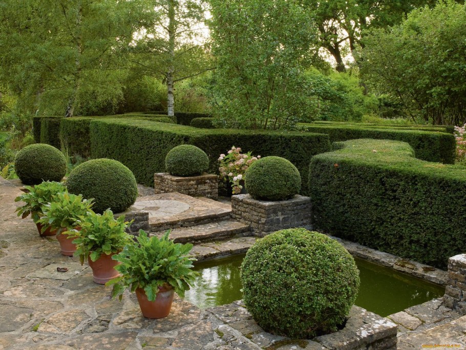 Ландшафт заднего двора