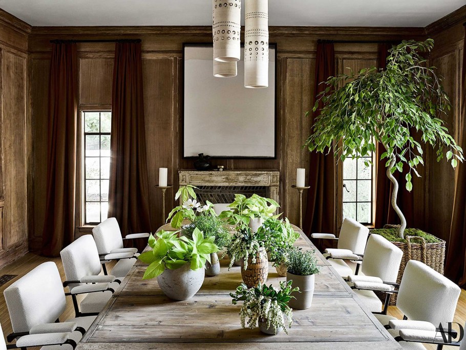 Папоротник комнатный в интерьере