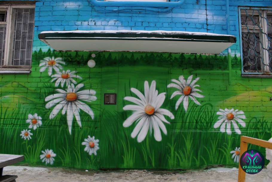 Роспись стен ромашки