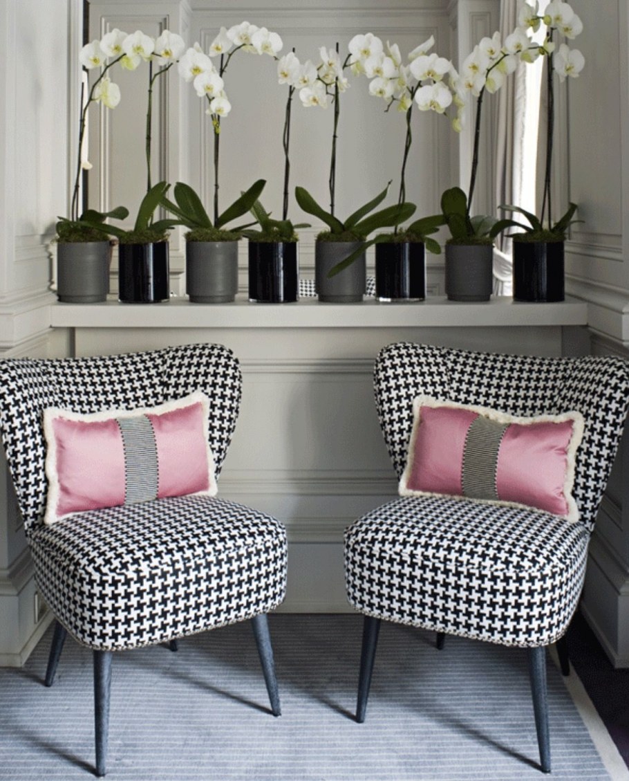 Обои Victoria Stenova 998931