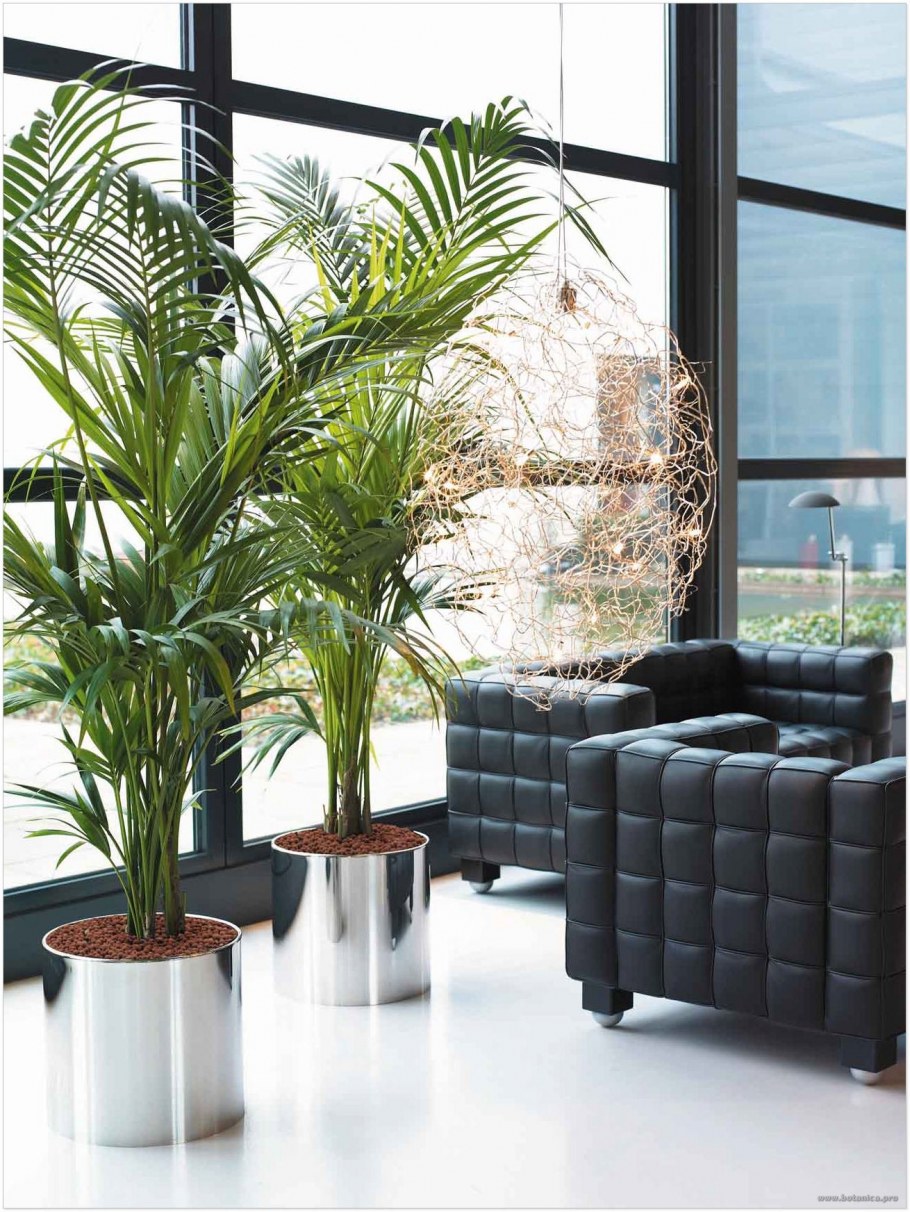 Кашпо напольное Лечуза широкое