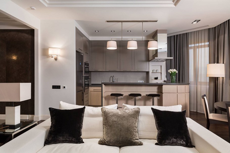 Кухня совмещенная с гостиной в современном стиле